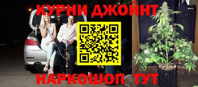 сатива Аргун