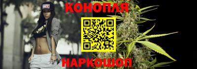 сатива Аргун