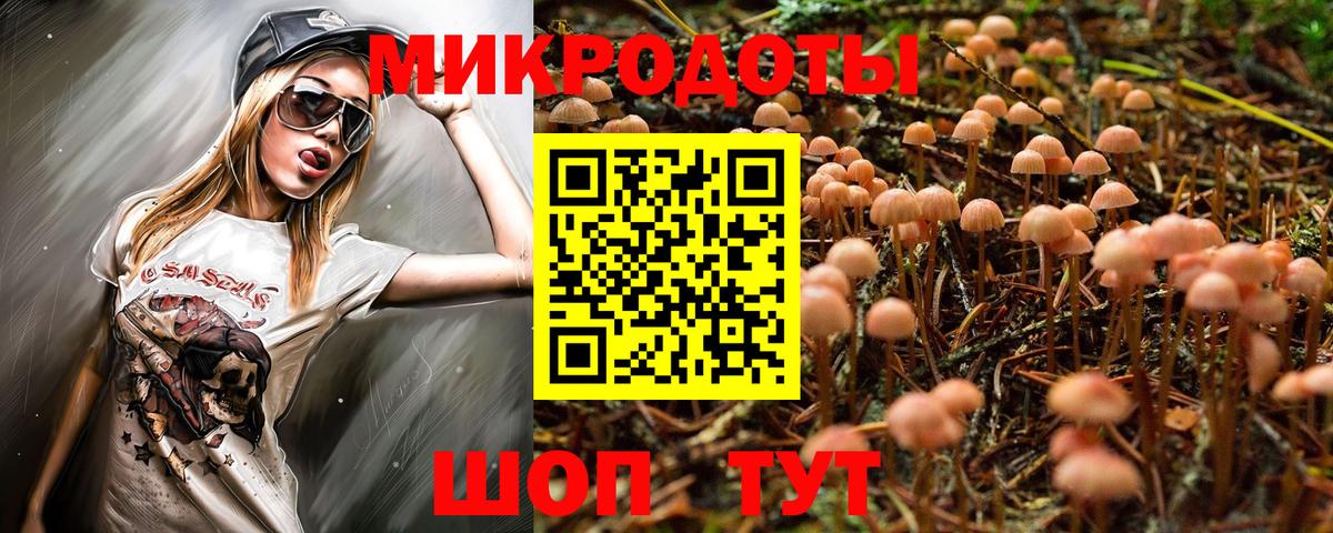 Советская Гавань  Псилоцибиновые грибы мухоморы  Галлюциногенные грибы мухоморы  Вход с VPN 