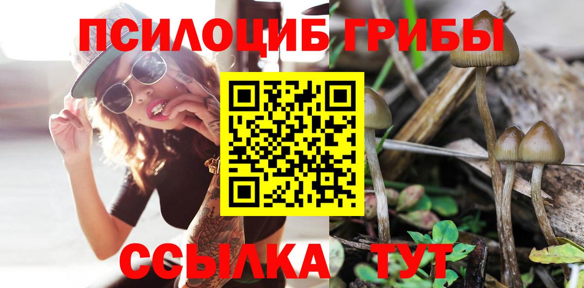 Галлюциногенные грибы ЛСД Советская Гавань