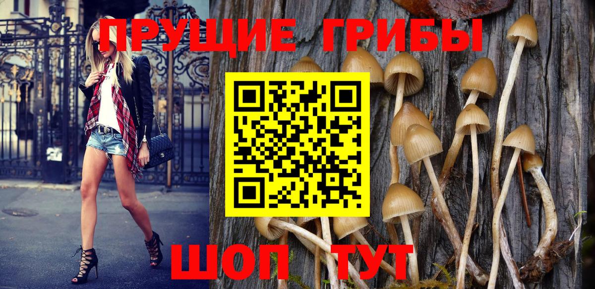 Псилоцибиновые грибы мухоморы  где продают наркотики  Псилоцибиновые грибы мухоморы  Советская Гавань 